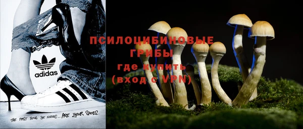 амф Бронницы
