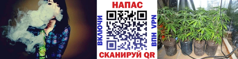 продажа наркотиков  Свободный  МАРИХУАНА Bruce Banner 